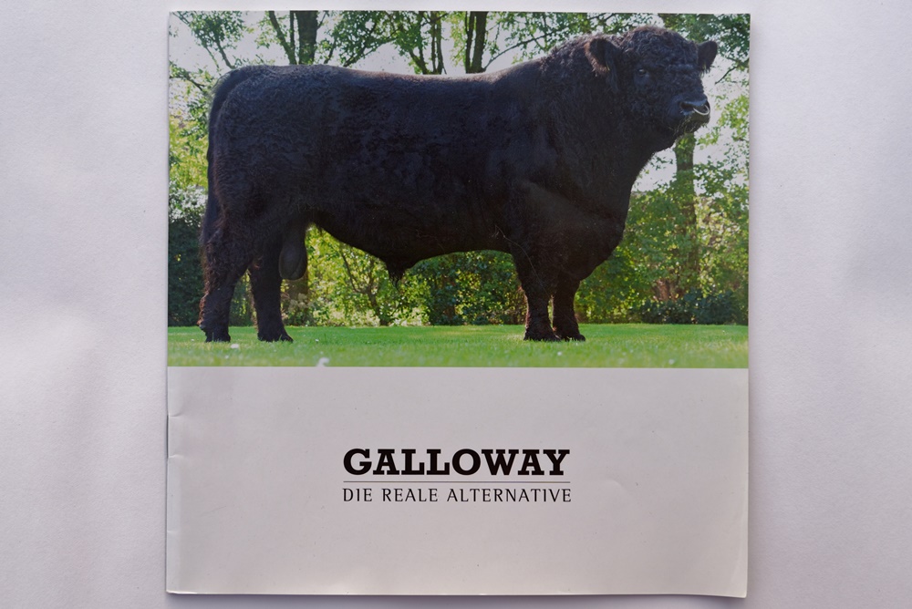 Galloway Vermarktungsbroschüre