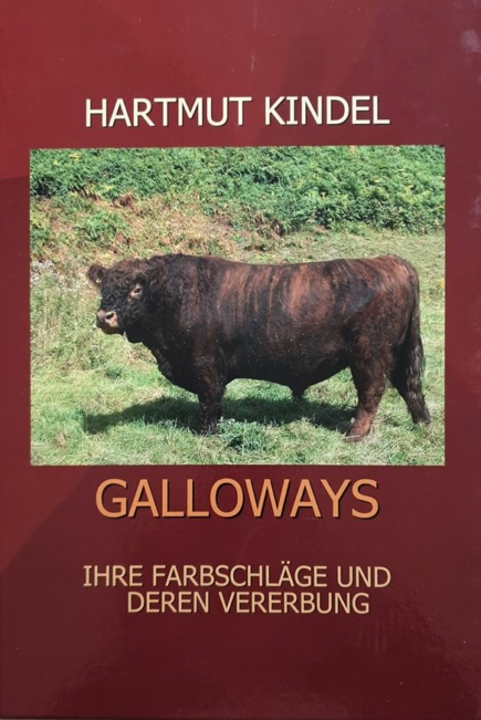 Galloway Farbschläge und Vererbung