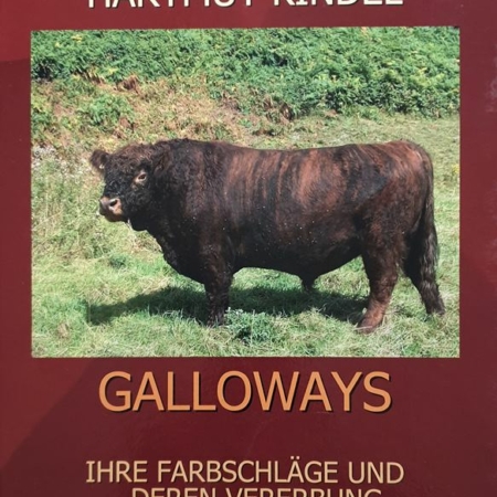 Galloway Farbschläge und Vererbung