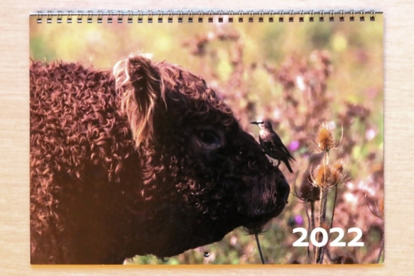 Galloway Kalender 2022