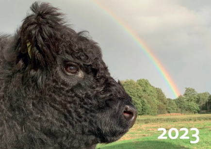 Galloway Kalender 2023